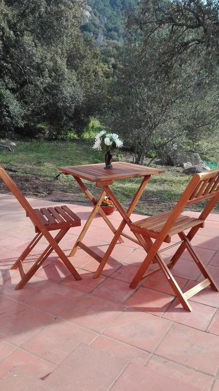 Agriturismo Monte Pino Telti Extérieur photo