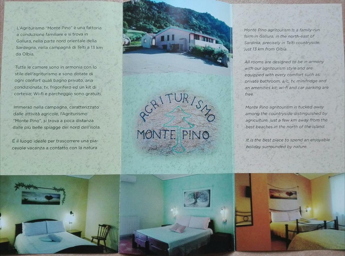 Agriturismo Monte Pino Telti Extérieur photo
